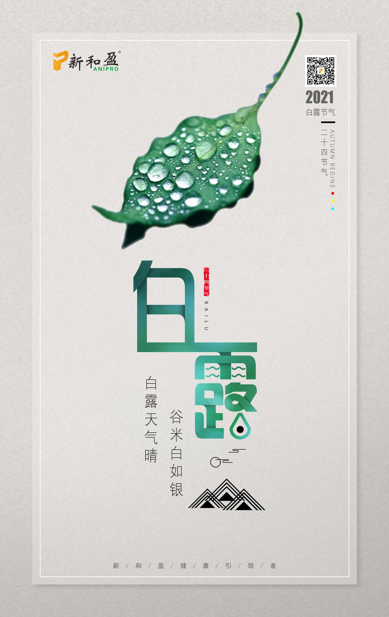 9.7白露.jpg