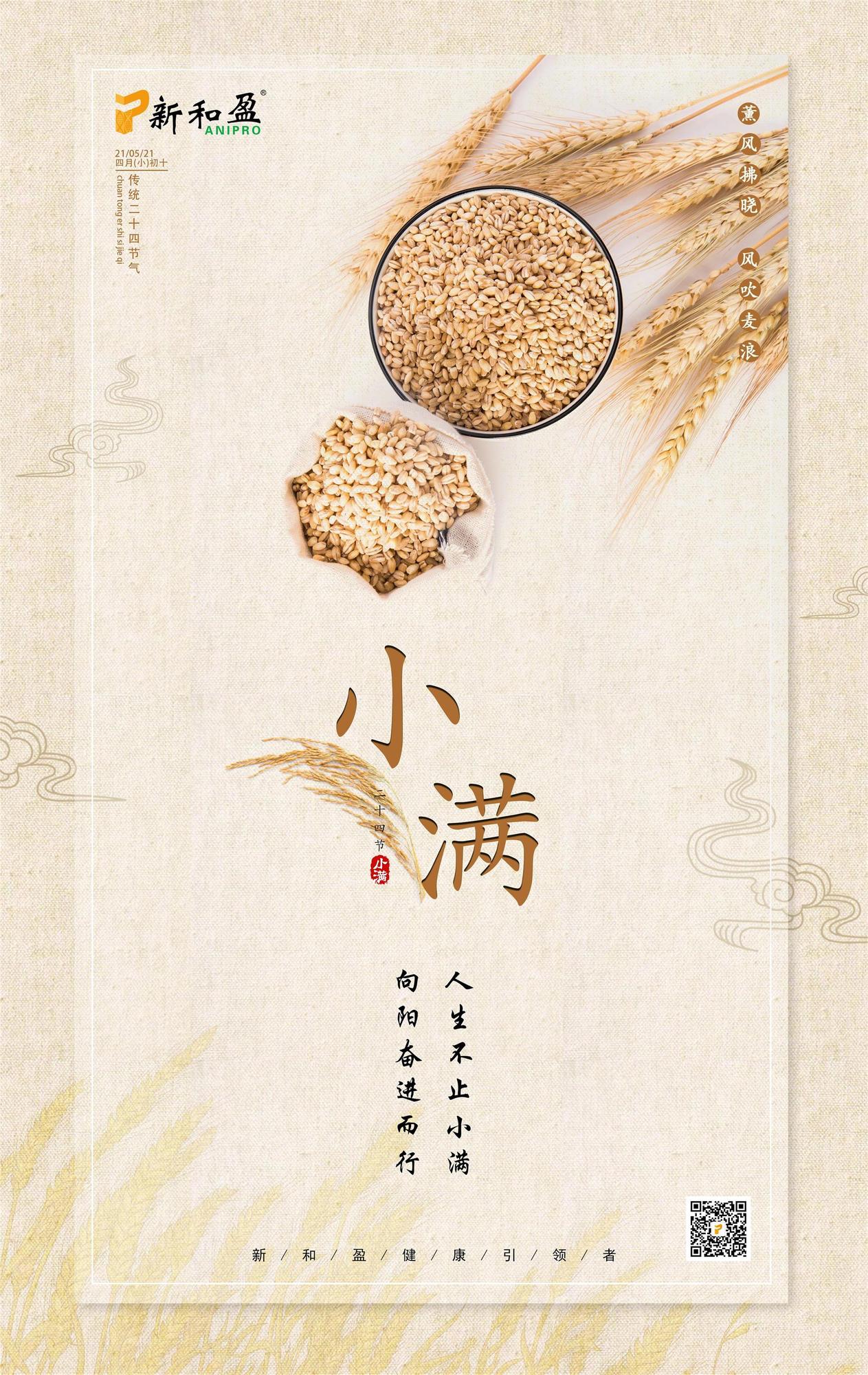 小满.jpg