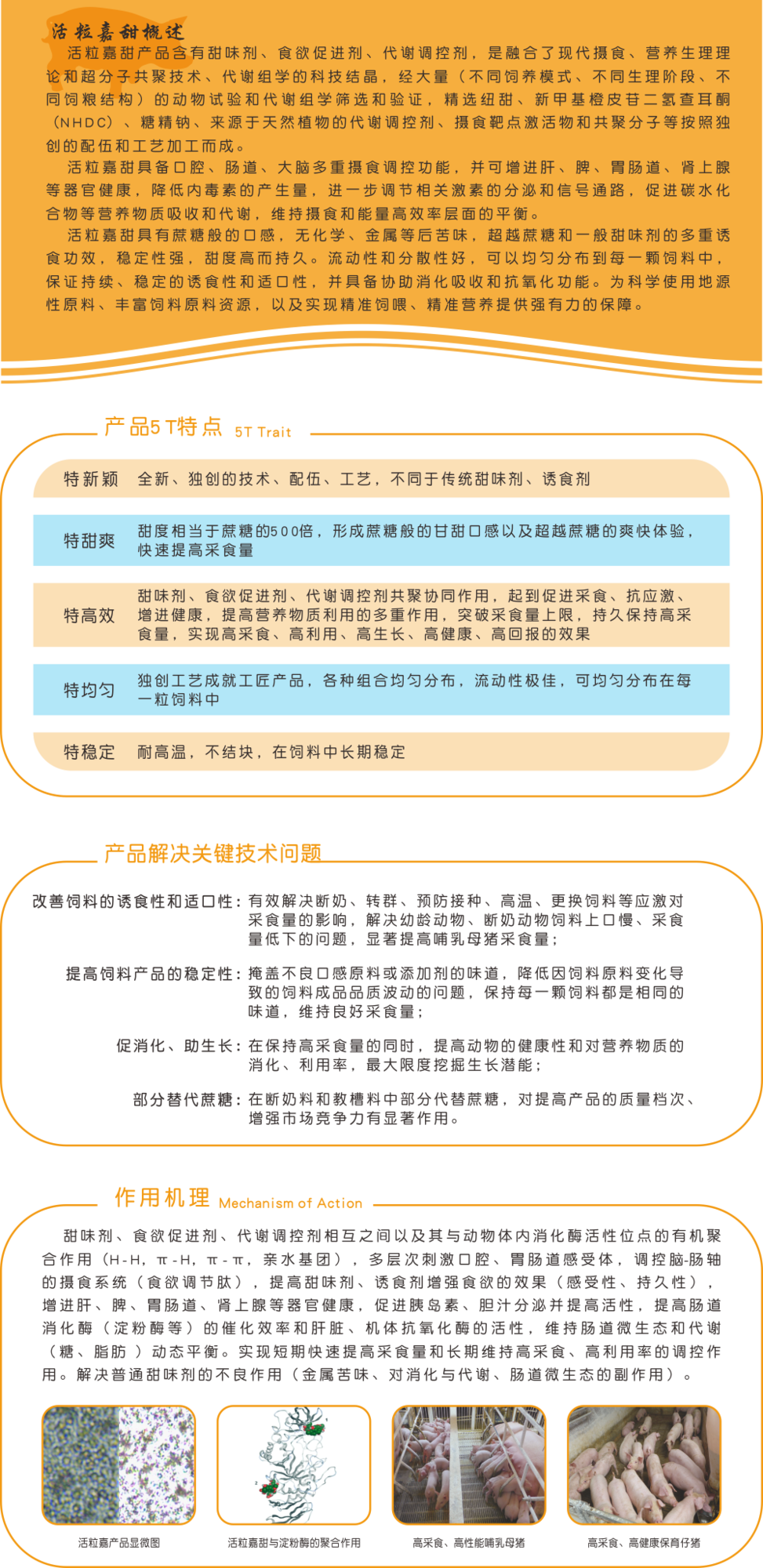 活粒嘉甜 折页 5改.png